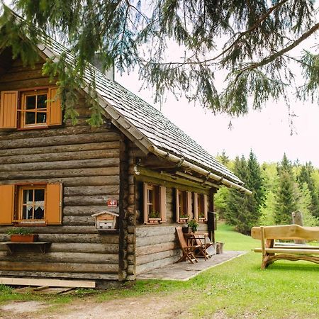 Вилла Wood House Irena-Pocitniska Hisa Бохинь Экстерьер фото